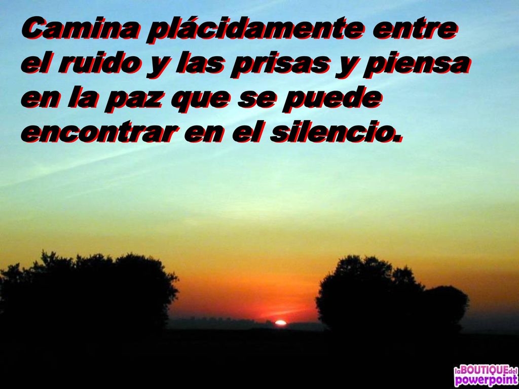 Camina plácidamente entre el ruido y las prisas y piensa en la paz que se puede encontrar en el silencio.