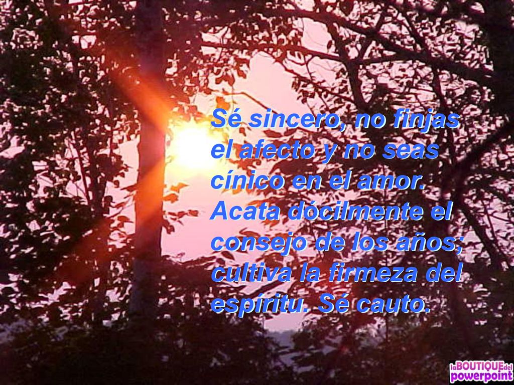 Sé sincero, no finjas el afecto y no seas cínico en el amor