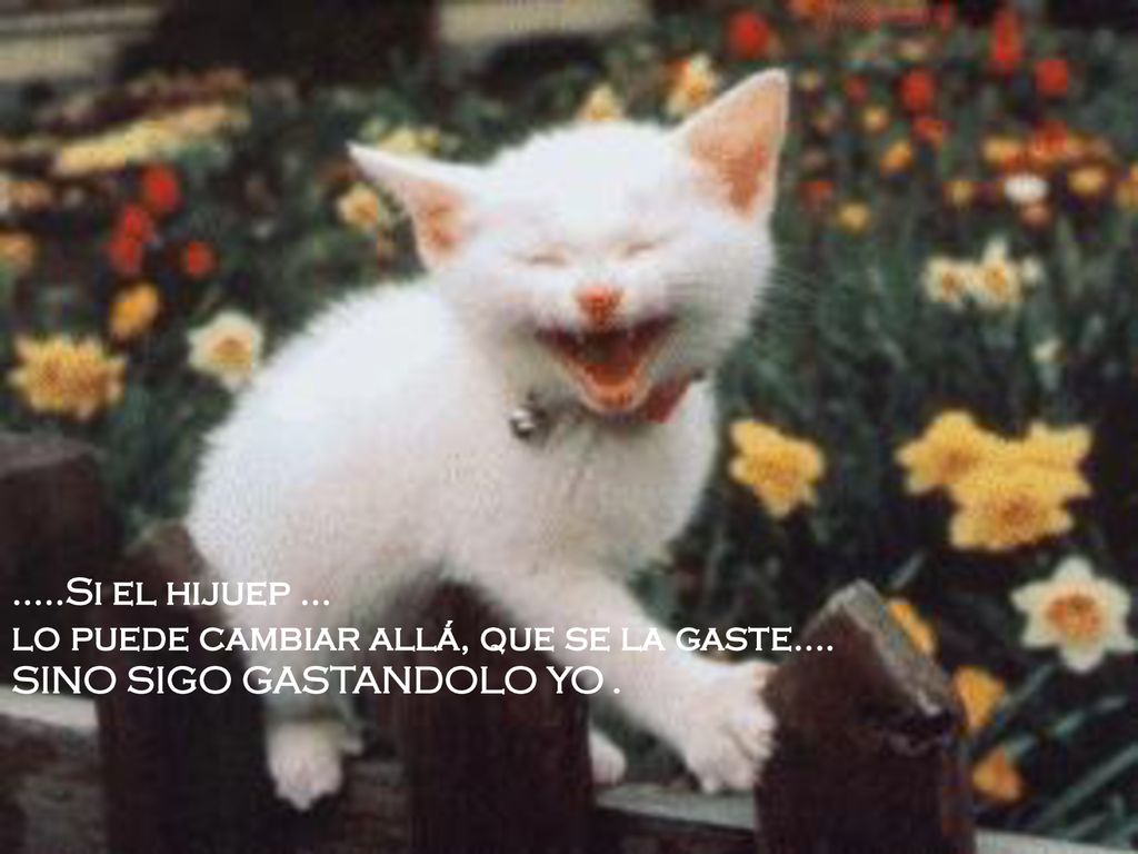 .....Si el hijuep ... lo puede cambiar allá, que se la gaste.…