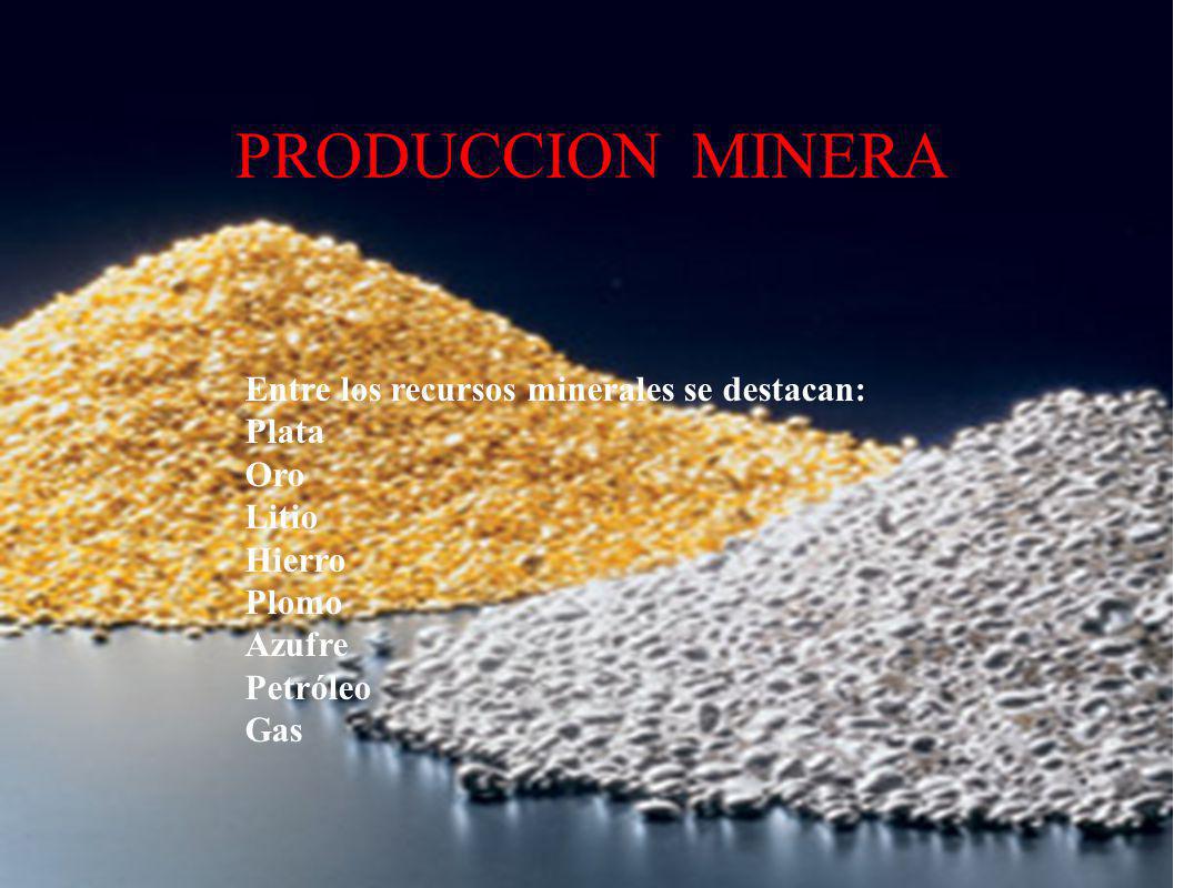 PRODUCCION MINERA Entre los recursos minerales se destacan: Plata Oro