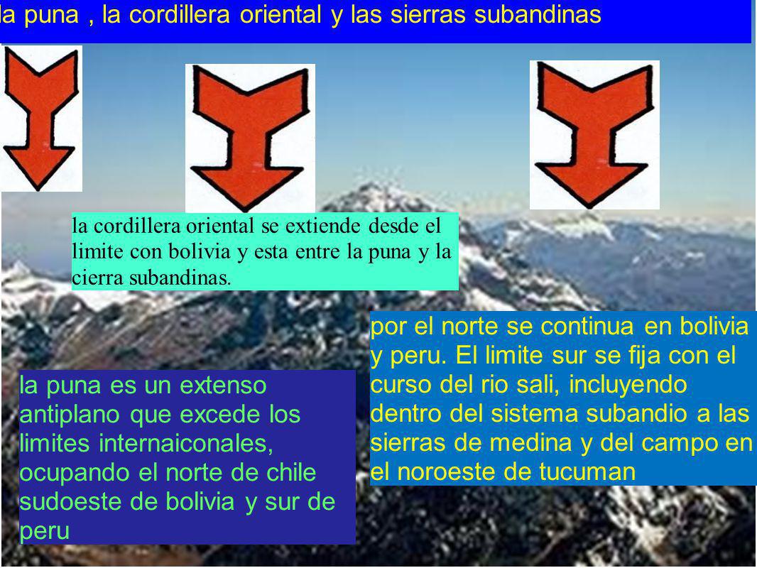 la puna , la cordillera oriental y las sierras subandinas