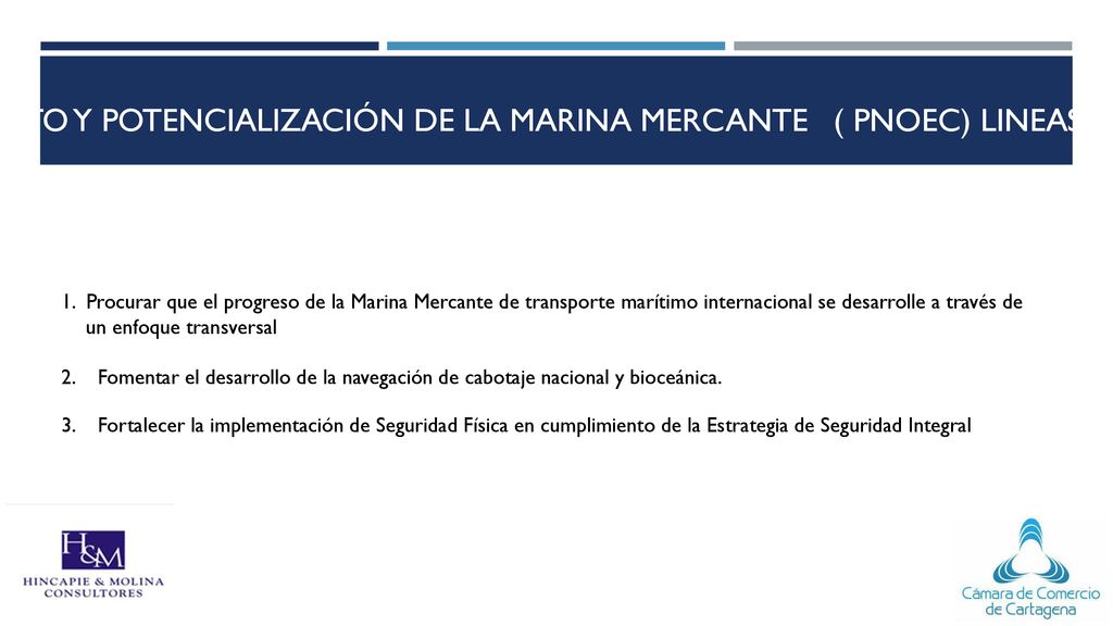FOMENTO Y POTENCIALIZACIÓN DE LA MARINA MERCANTE ( PNOEC) LINEAS DE ACCION