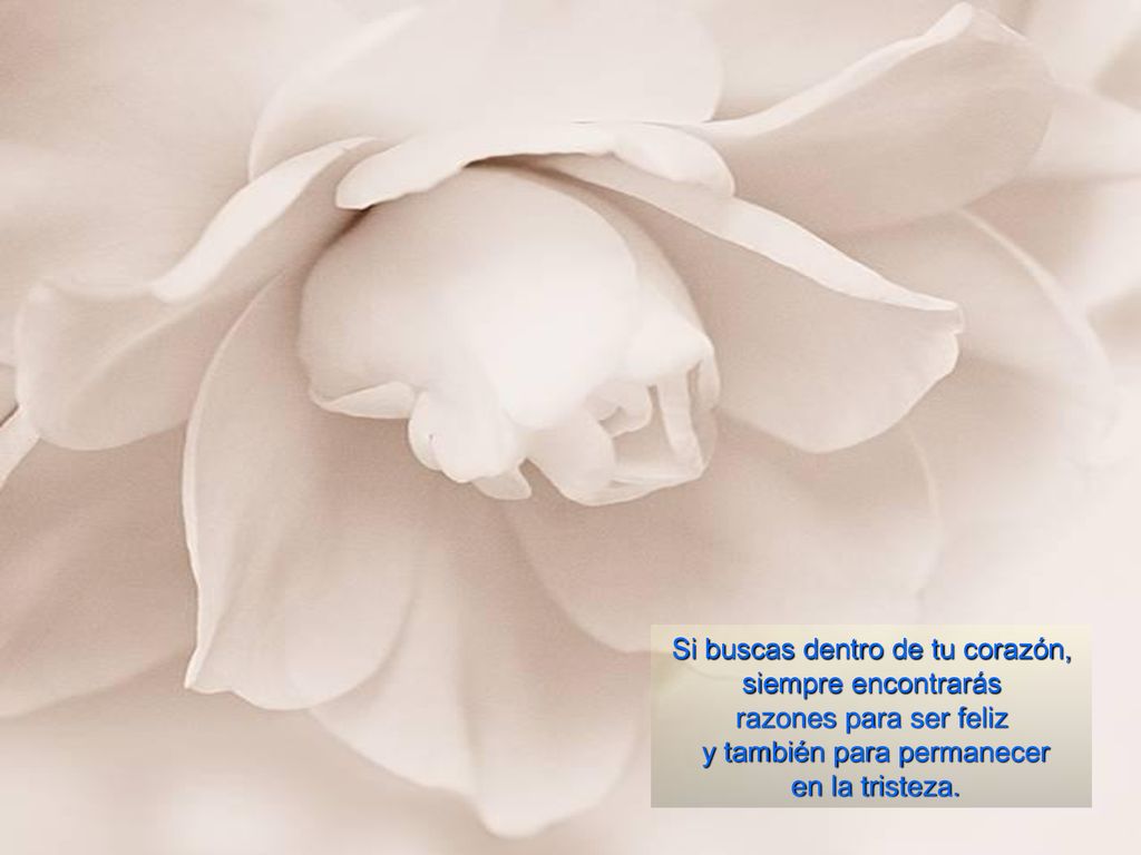 Si buscas dentro de tu corazón, siempre encontrarás