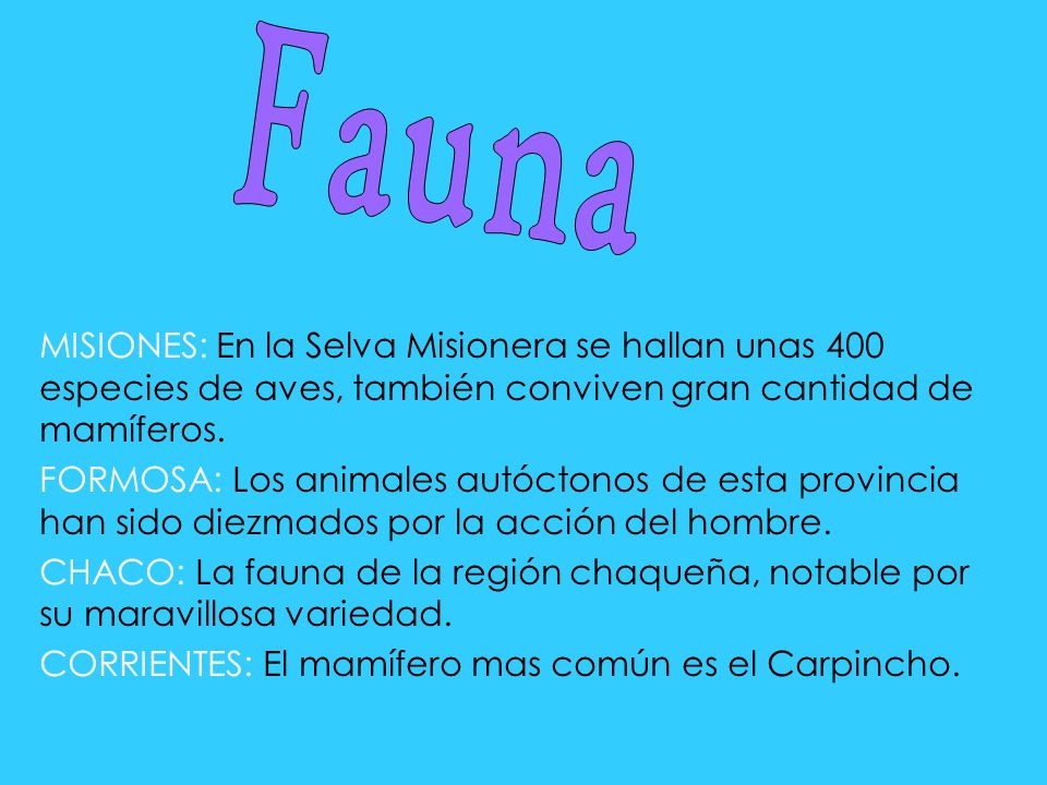 Fauna MISIONES: En la Selva Misionera se hallan unas 400 especies de aves, también conviven gran cantidad de mamíferos.