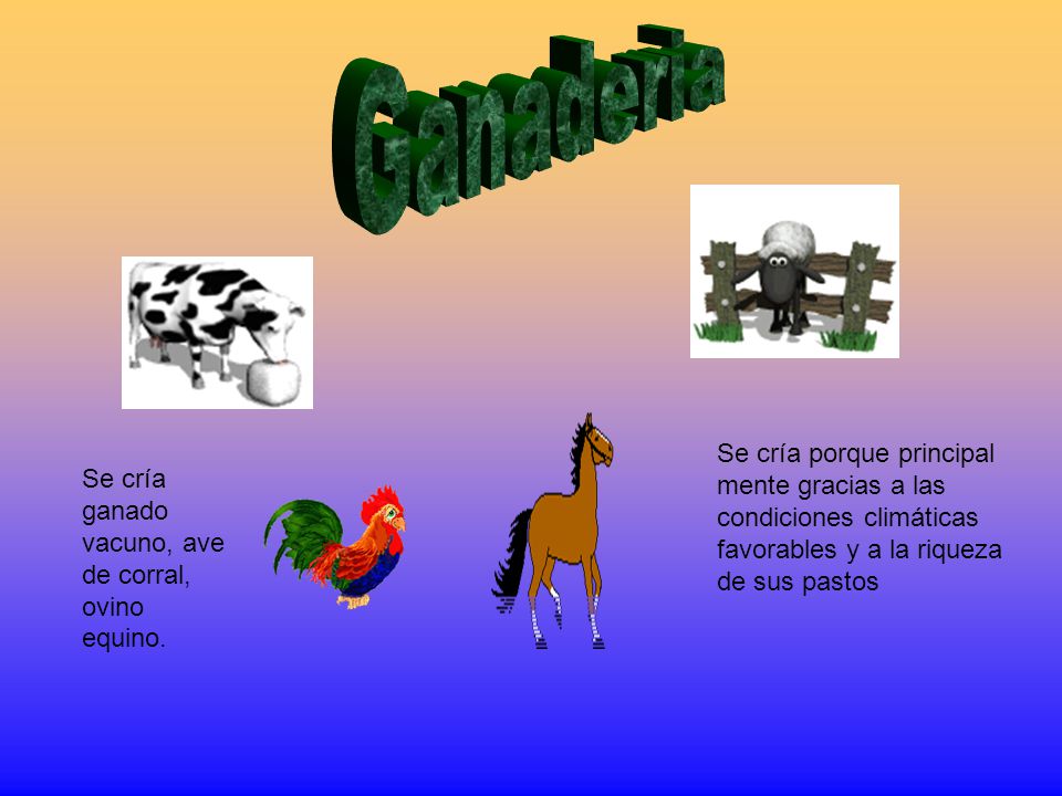 Ganaderia Se cría porque principal mente gracias a las condiciones climáticas favorables y a la riqueza de sus pastos.
