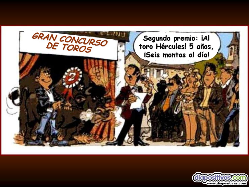 Segundo premio: ¡Al toro Hércules! 5 años, ¡Seis montas al día!