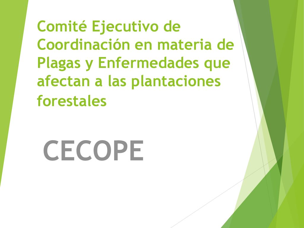 Comité Ejecutivo de Coordinación en materia de Plagas y Enfermedades que afectan a las plantaciones forestales