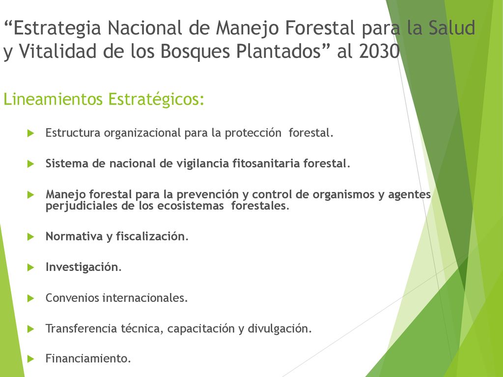 Estrategia Nacional de Manejo Forestal para la Salud y Vitalidad de los Bosques Plantados al 2030 Lineamientos Estratégicos: