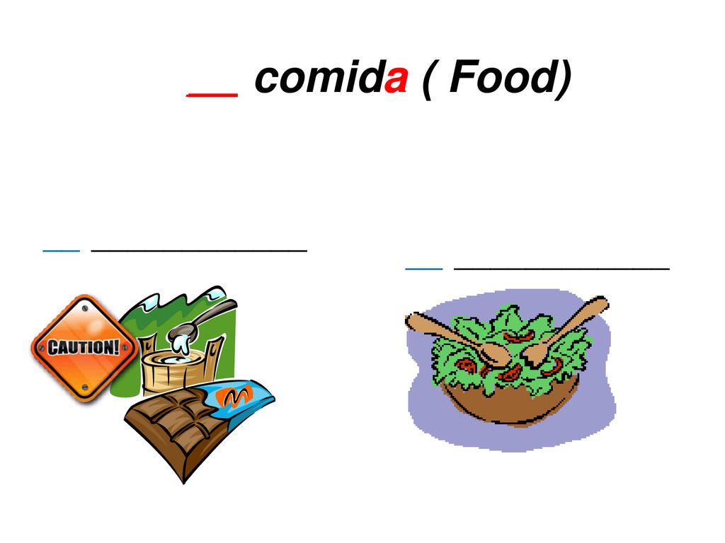 comida ( Food) __ __ ____________ __ ____________