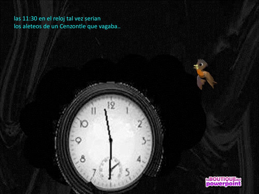 las 11:30 en el reloj tal vez serian los aleteos de un Cenzontle que vagaba..