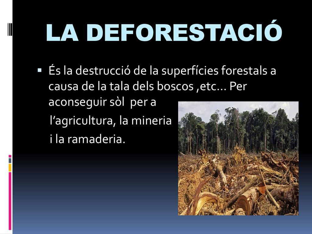 LA DEFORESTACIÓ És la destrucció de la superfícies forestals a causa de la tala dels boscos ,etc… Per aconseguir sòl per a.