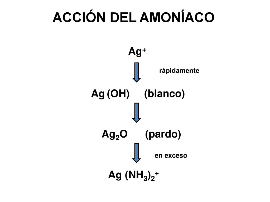 ACCIÓN DEL AMONÍACO Ag+ Ag (OH) (blanco) Ag2O (pardo) Ag (NH3)2+