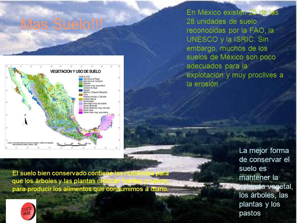 En México existen 25 de las 28 unidades de suelo reconocidas por la FAO, la UNESCO y la ISRIC. Sin embargo, muchos de los suelos de México son poco adecuados para la explotación y muy proclives a la erosión