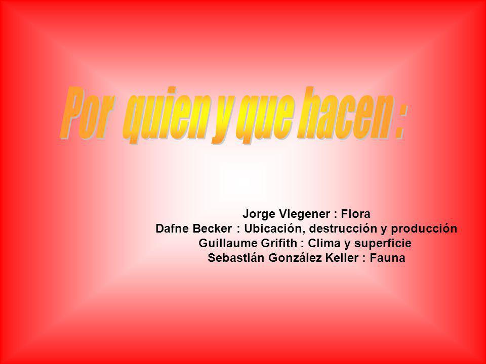 Por quien y que hacen : Jorge Viegener : Flora