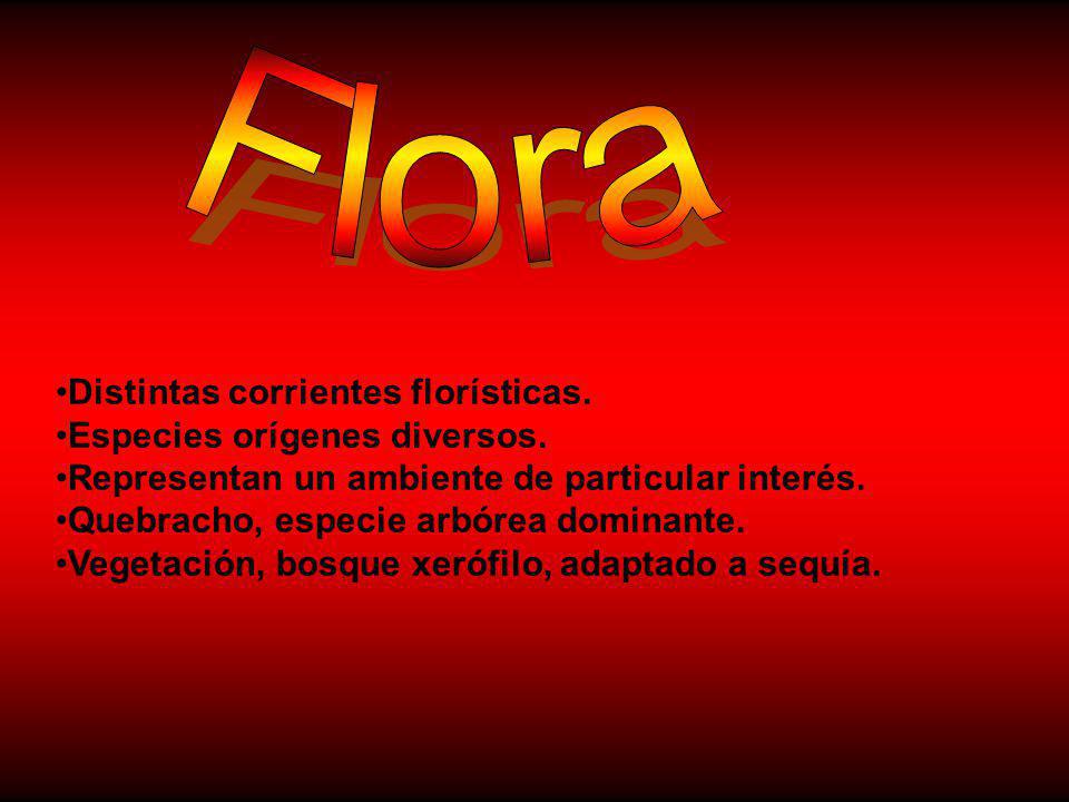 Flora Distintas corrientes florísticas. Especies orígenes diversos.