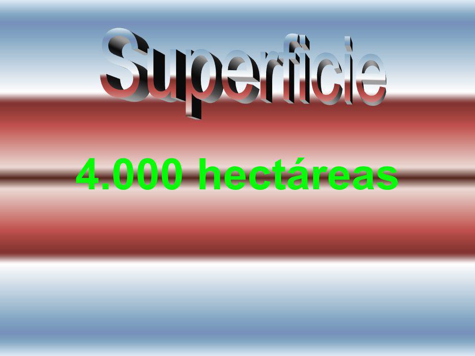 Superficie hectáreas