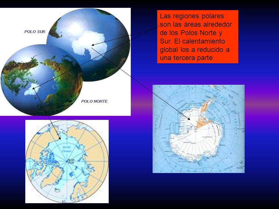 Las regiones polares son las áreas alrededor de los Polos Norte y Sur