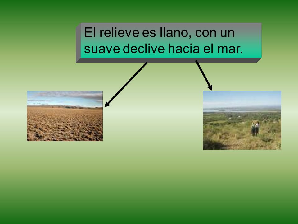 El relieve es llano, con un suave declive hacia el mar.