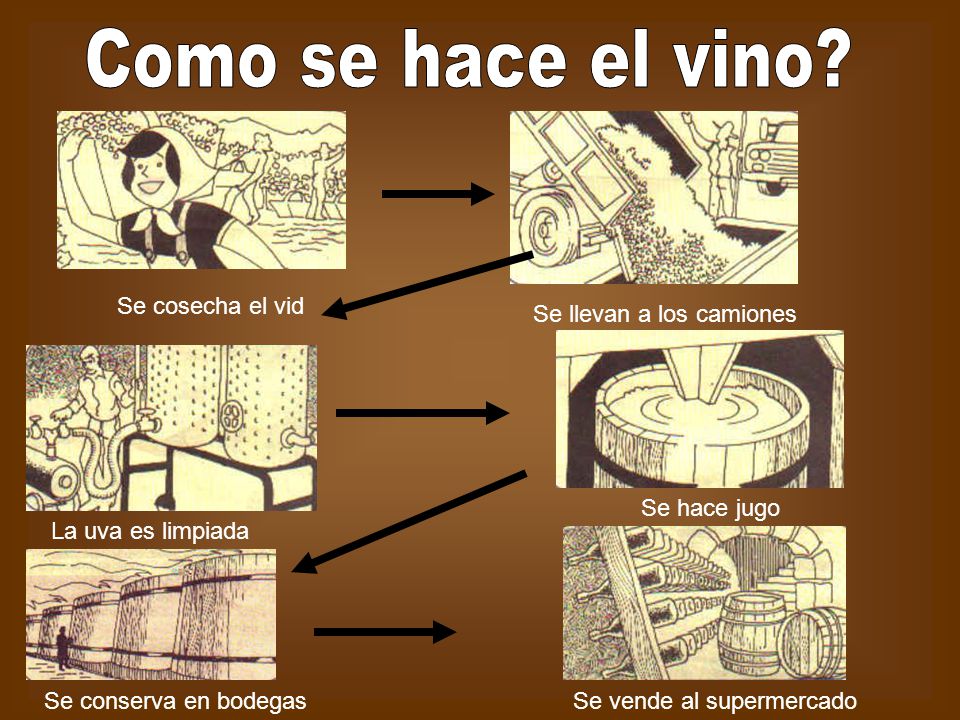 Como se hace el vino Se cosecha el vid Se llevan a los camiones
