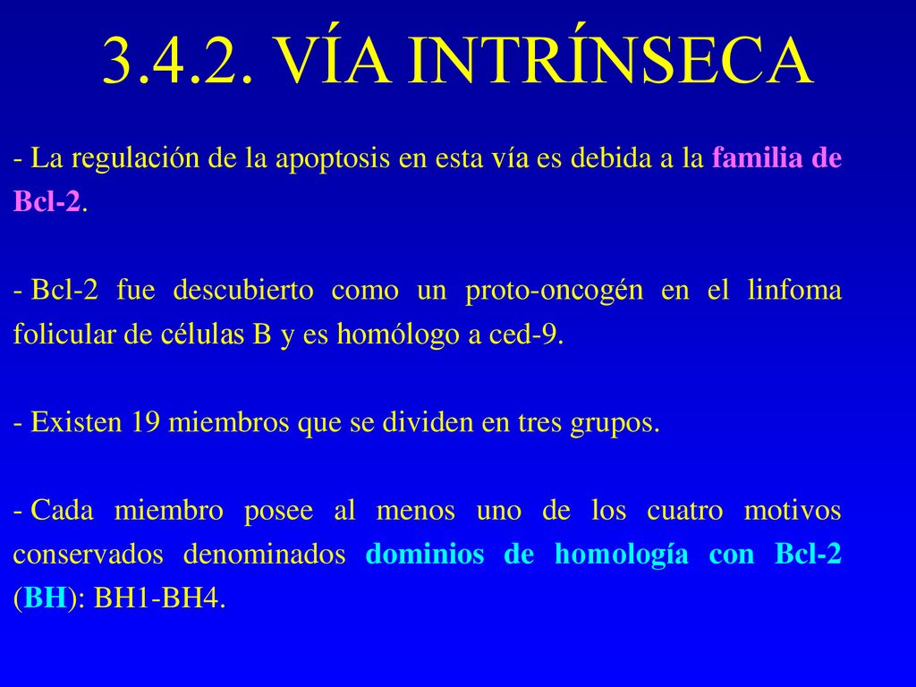 VÍA INTRÍNSECA La regulación de la apoptosis en esta vía es debida a la familia de Bcl-2.