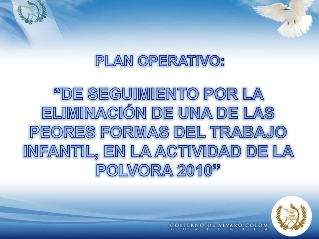 PLAN OPERATIVO: DE SEGUIMIENTO POR LA ELIMINACIÓN DE UNA DE LAS PEORES FORMAS DEL TRABAJO INFANTIL, EN LA ACTIVIDAD DE LA POLVORA 2010