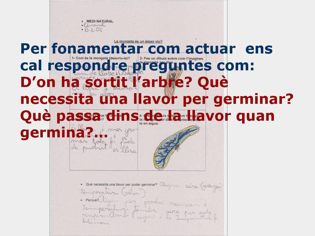 Per fonamentar com actuar ens cal respondre preguntes com: D’on ha sortit l’arbre.