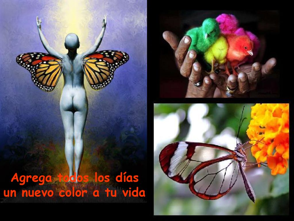 Agrega todos los días un nuevo color a tu vida