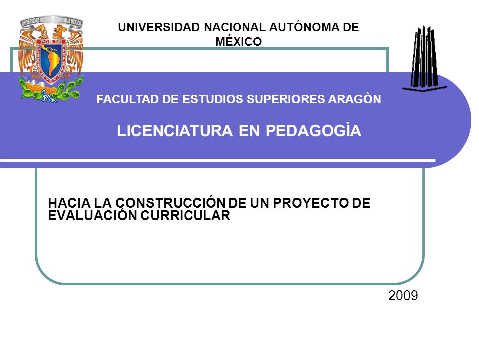 HACIA LA CONSTRUCCIÓN DE UN PROYECTO DE EVALUACIÓN CURRICULAR 2009