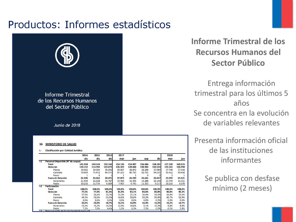 Productos: Informes estadísticos
