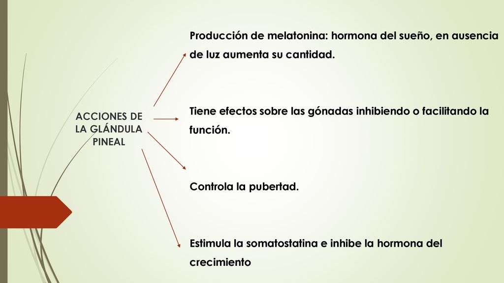 Tiene efectos sobre las gónadas inhibiendo o facilitando la función.