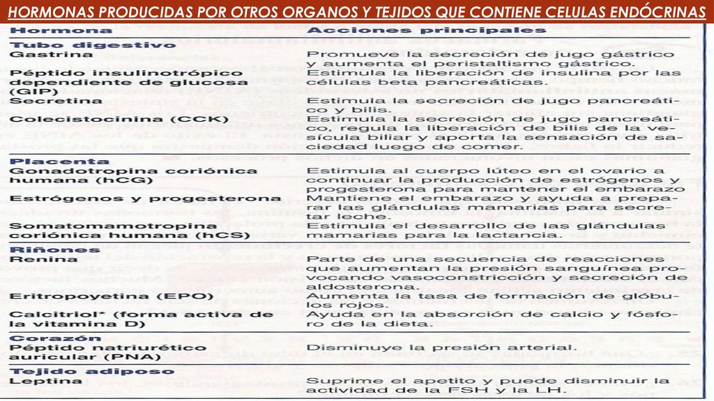 HORMONAS PRODUCIDAS POR OTROS ORGANOS Y TEJIDOS QUE CONTIENE CELULAS ENDÓCRINAS