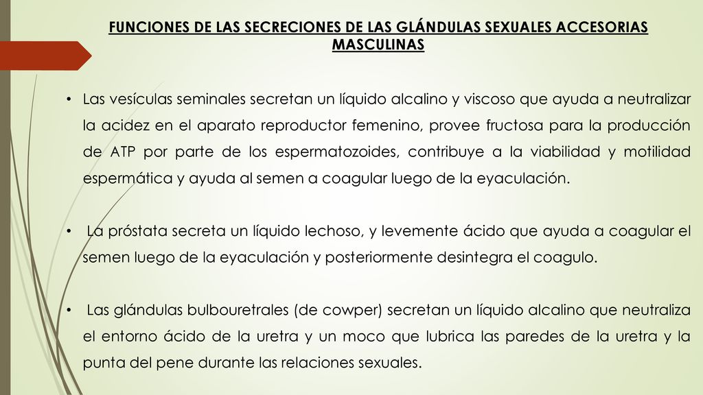 FUNCIONES DE LAS SECRECIONES DE LAS GLÁNDULAS SEXUALES ACCESORIAS MASCULINAS