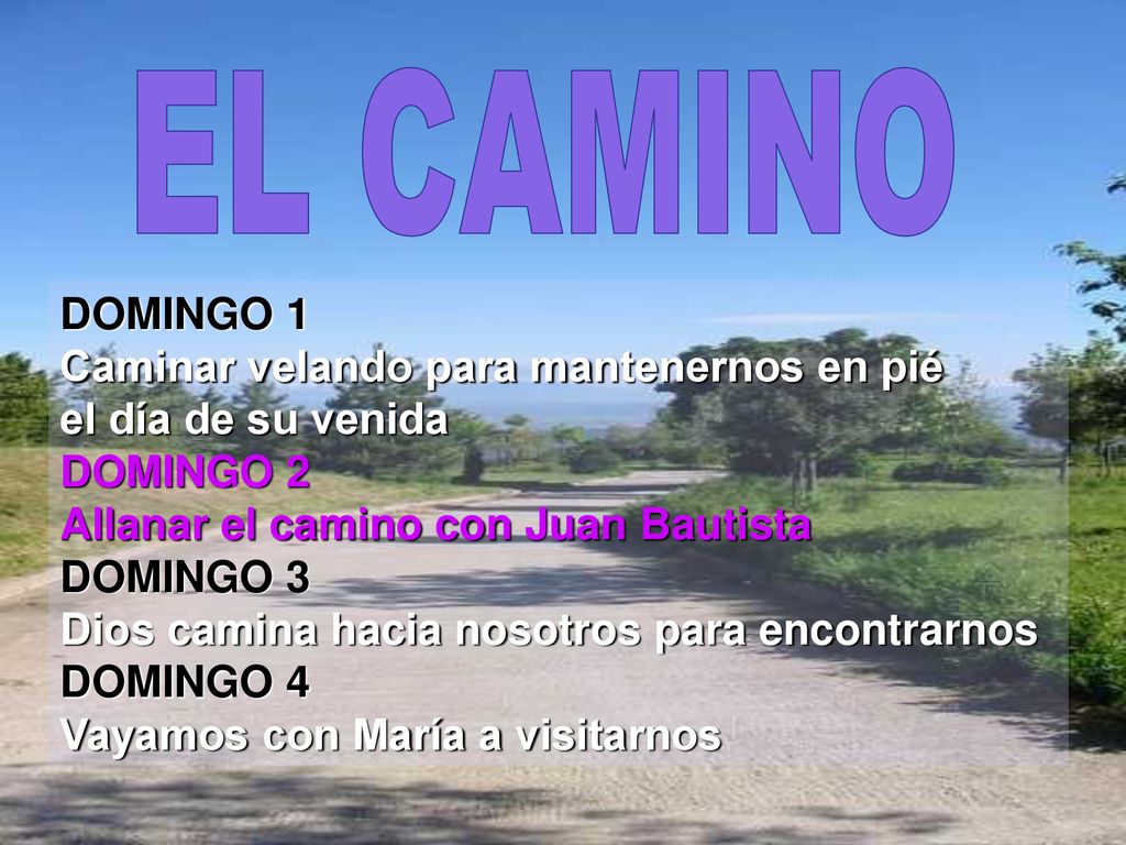 EL CAMINO DOMINGO 1 Caminar velando para mantenernos en pié