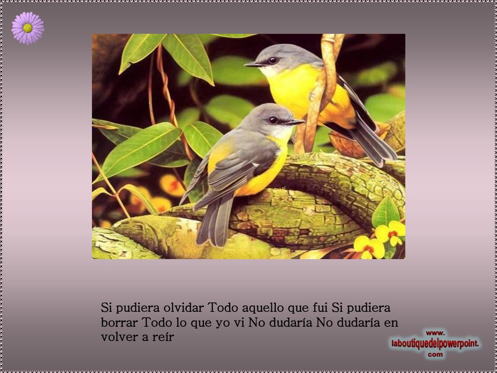 Si pudiera olvidar Todo aquello que fui Si pudiera borrar Todo lo que yo vi No dudaría No dudaría en volver a reír