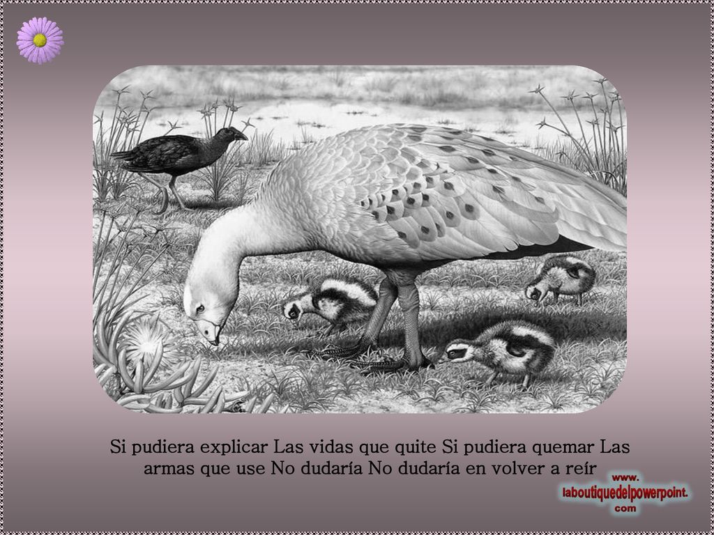 Si pudiera explicar Las vidas que quite Si pudiera quemar Las armas que use No dudaría No dudaría en volver a reír