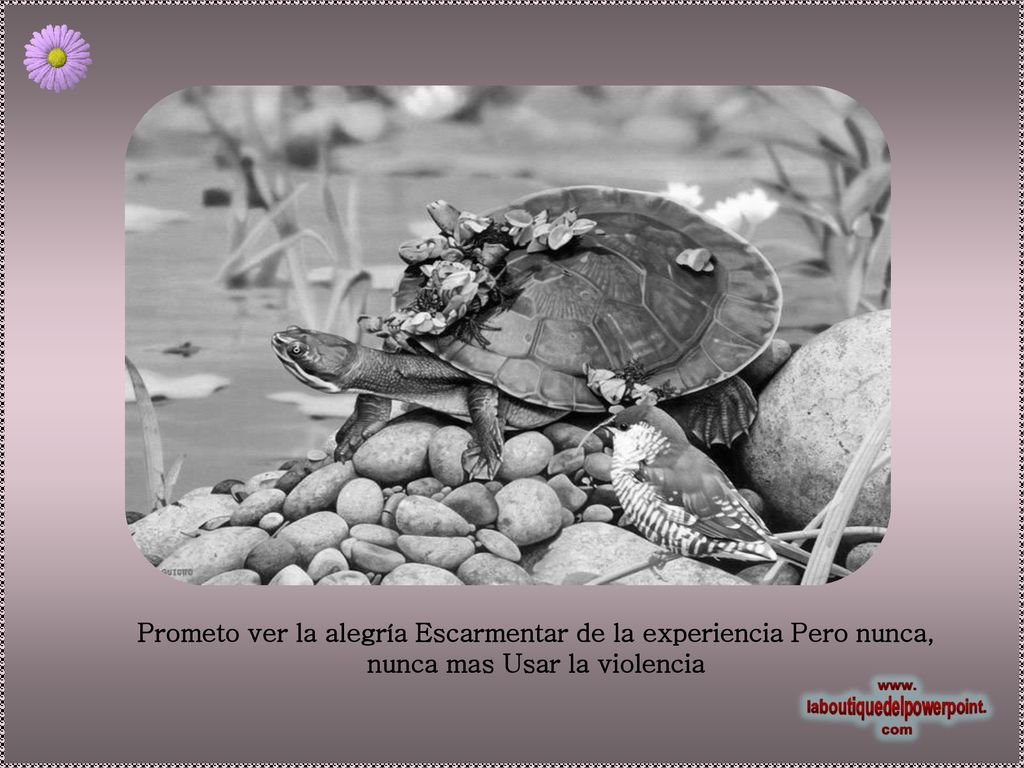 Prometo ver la alegría Escarmentar de la experiencia Pero nunca, nunca mas Usar la violencia