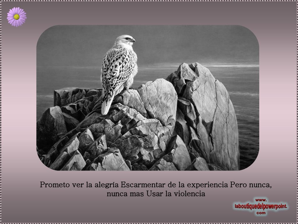 Prometo ver la alegría Escarmentar de la experiencia Pero nunca, nunca mas Usar la violencia