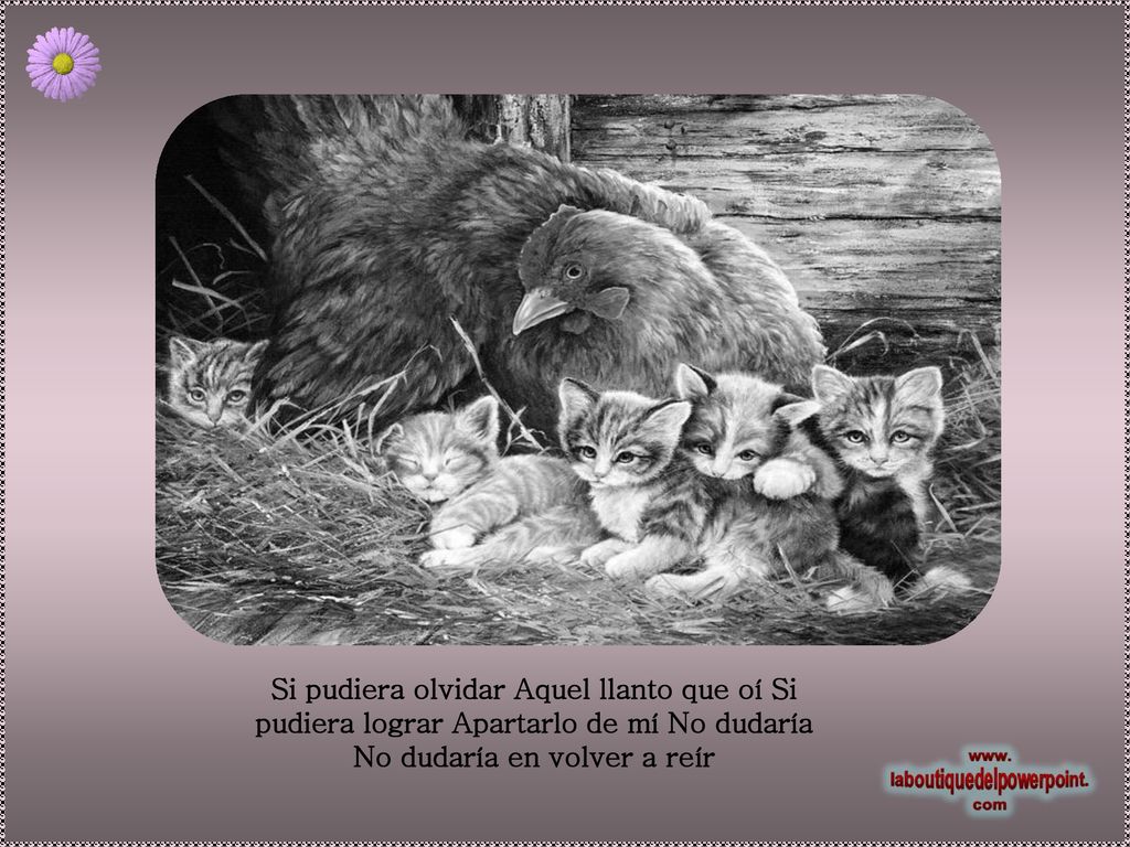 Si pudiera olvidar Aquel llanto que oí Si pudiera lograr Apartarlo de mí No dudaría No dudaría en volver a reír