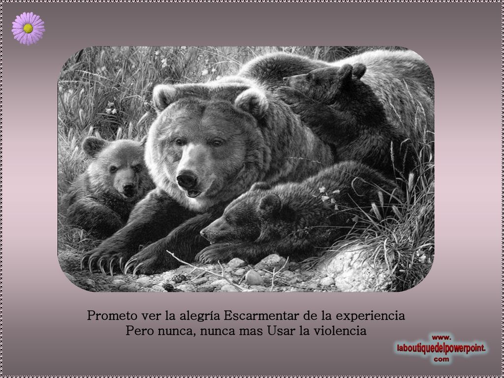 Prometo ver la alegría Escarmentar de la experiencia Pero nunca, nunca mas Usar la violencia