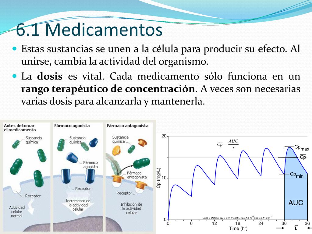 6.1 Medicamentos Estas sustancias se unen a la célula para producir su efecto. Al unirse, cambia la actividad del organismo.