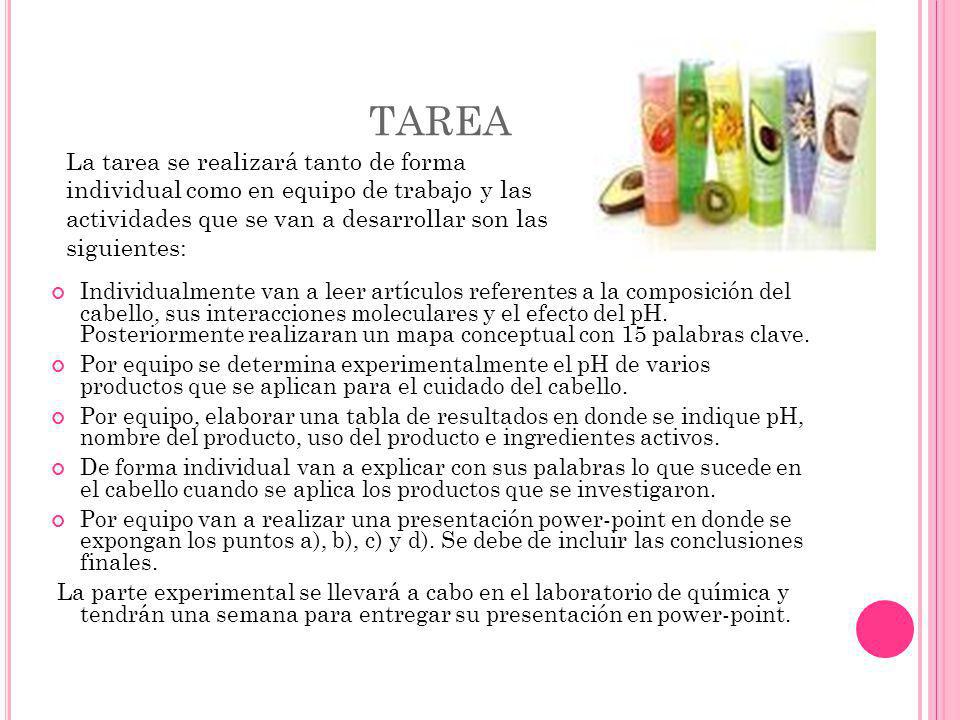 TAREA La tarea se realizará tanto de forma individual como en equipo de trabajo y las actividades que se van a desarrollar son las siguientes: