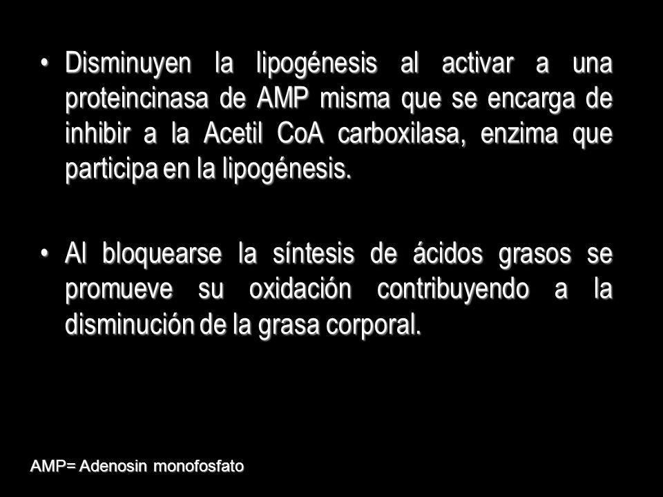 Disminuyen la lipogénesis al activar a una proteincinasa de AMP misma que se encarga de inhibir a la Acetil CoA carboxilasa, enzima que participa en la lipogénesis.