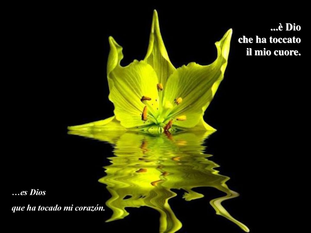 ...è Dio che ha toccato il mio cuore. …es Dios