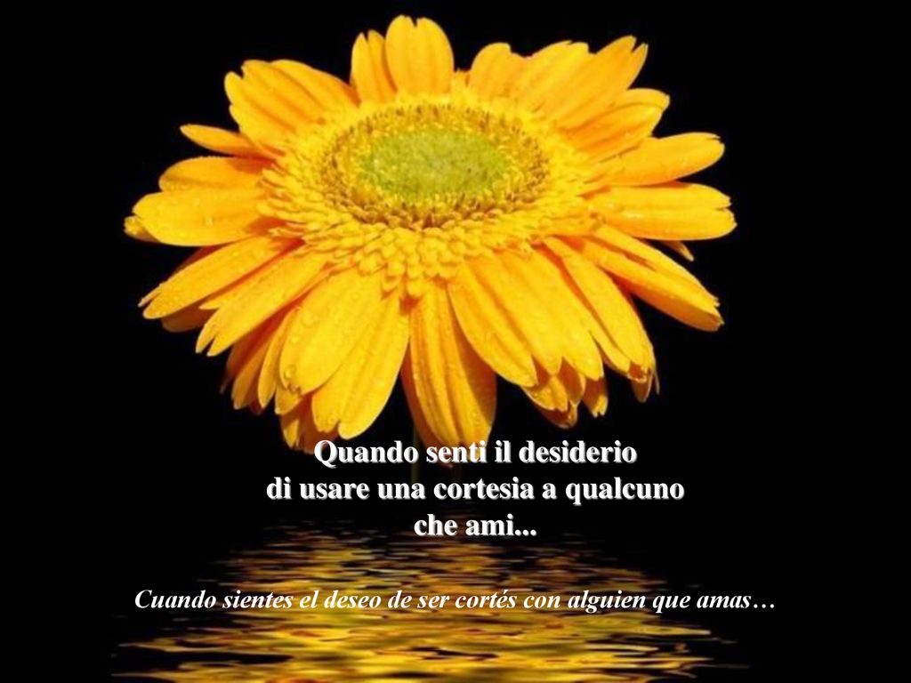 Quando senti il desiderio di usare una cortesia a qualcuno che ami...