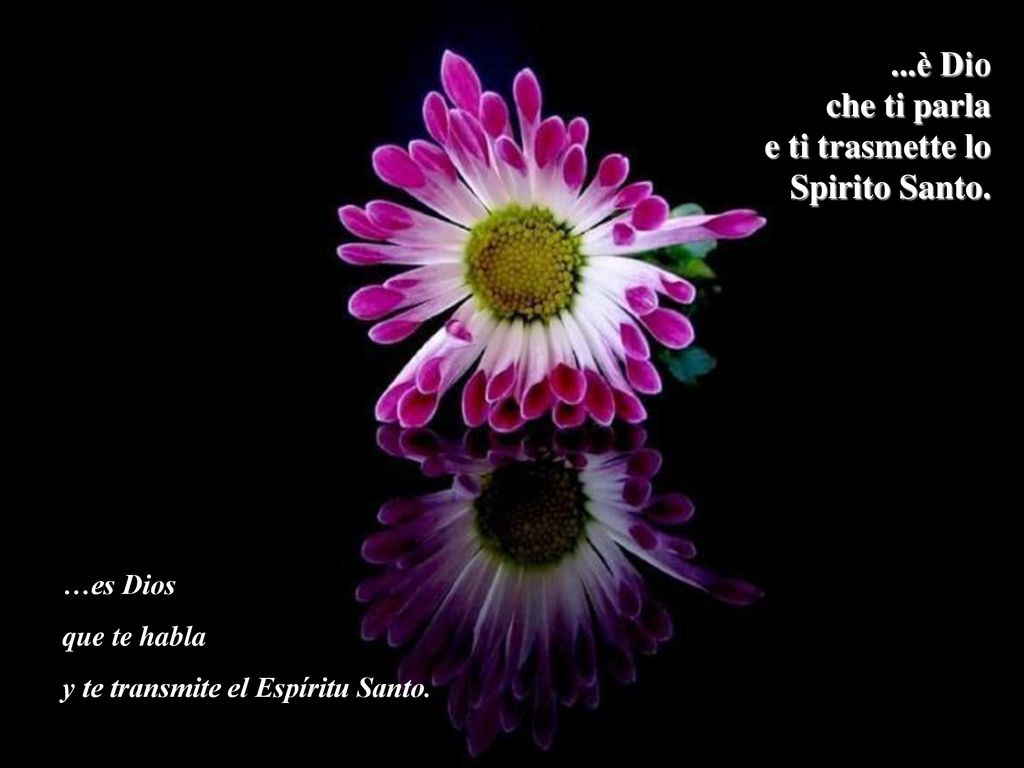 ...è Dio che ti parla e ti trasmette lo Spirito Santo. …es Dios