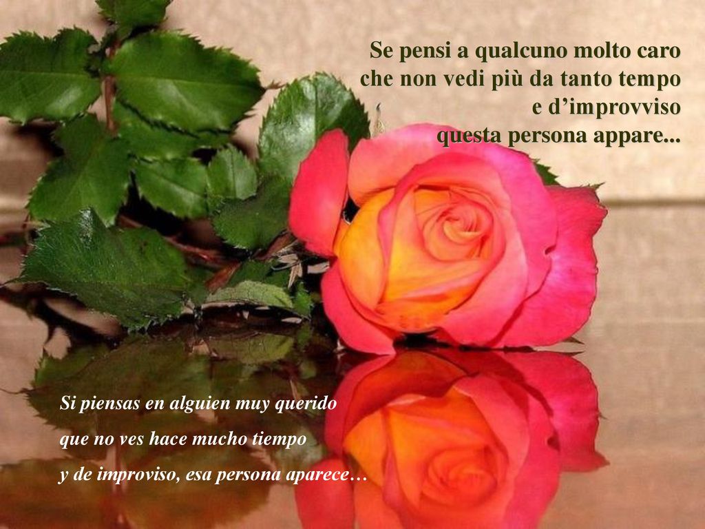 Se pensi a qualcuno molto caro che non vedi più da tanto tempo