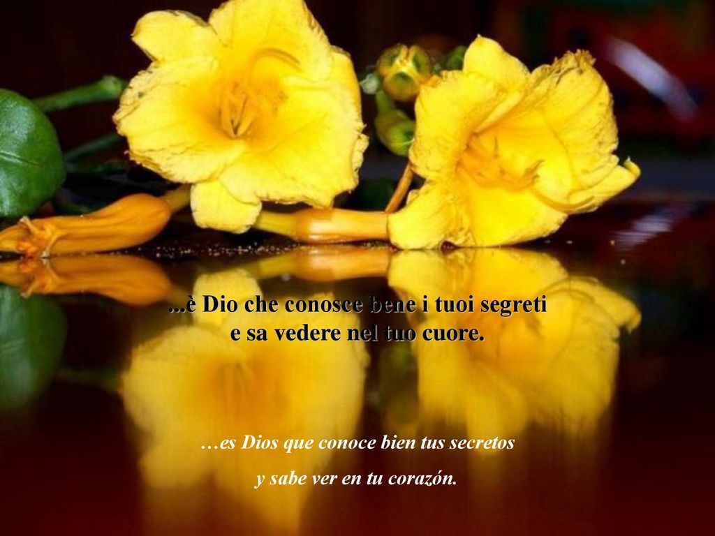 ...è Dio che conosce bene i tuoi segreti e sa vedere nel tuo cuore.