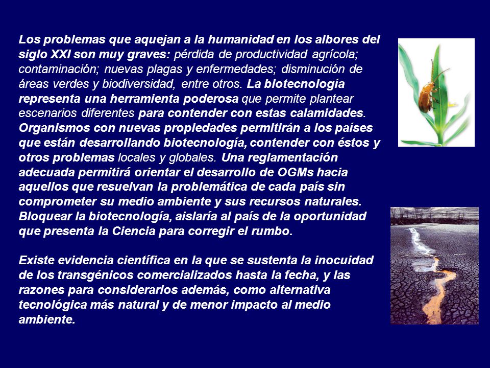 Los problemas que aquejan a la humanidad en los albores del siglo XXI son muy graves: pérdida de productividad agrícola; contaminación; nuevas plagas y enfermedades; disminución de áreas verdes y biodiversidad, entre otros. La biotecnología representa una herramienta poderosa que permite plantear escenarios diferentes para contender con estas calamidades. Organismos con nuevas propiedades permitirán a los países que están desarrollando biotecnología, contender con éstos y otros problemas locales y globales. Una reglamentación adecuada permitirá orientar el desarrollo de OGMs hacia aquellos que resuelvan la problemática de cada país sin comprometer su medio ambiente y sus recursos naturales. Bloquear la biotecnología, aislaría al país de la oportunidad que presenta la Ciencia para corregir el rumbo.