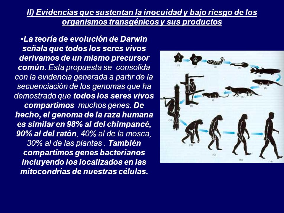 II) Evidencias que sustentan la inocuidad y bajo riesgo de los organismos transgénicos y sus productos