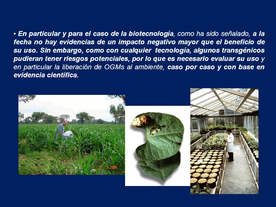 En particular y para el caso de la biotecnología, como ha sido señalado, a la fecha no hay evidencias de un impacto negativo mayor que el beneficio de su uso.